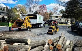 Best Tree Mulching  in Oak Park, IL
